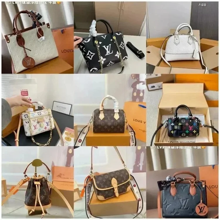 LV Bag  